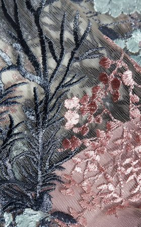 Напівпрозора сукня з вишивкою Jeslyn