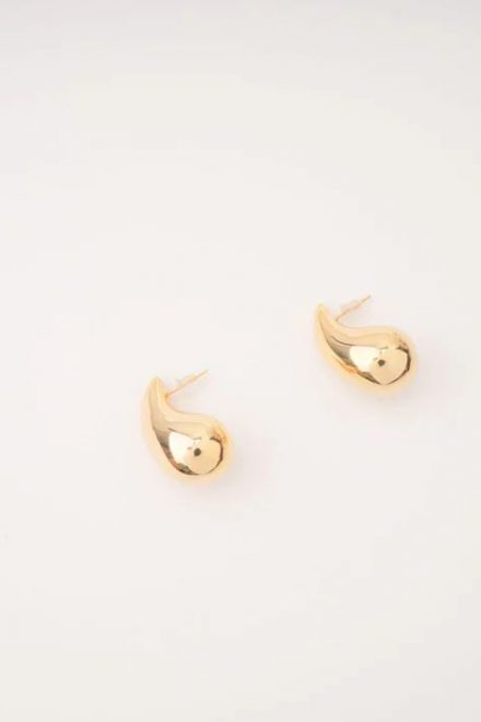 Сережки-краплі Paulina